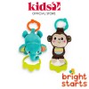 Bright Starts Tag Tunes Pink Take Along Toy - Random