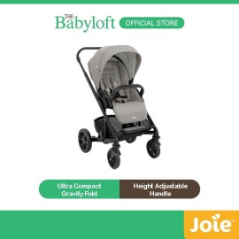 Joie Chrome Pebble Stroller