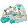 Skip Hop Tropical Paradise Activity Gym & Soother